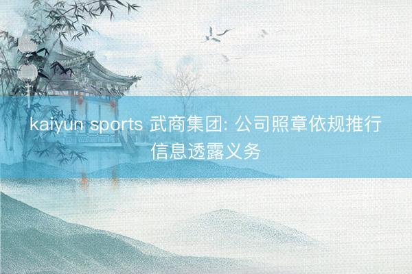 kaiyun sports 武商集团: 公司照章依规推行信息透露义务