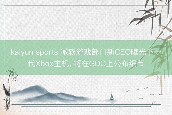 kaiyun sports 微软游戏部门新CEO曝光下一代Xbox主机, 将在GDC上公布细节