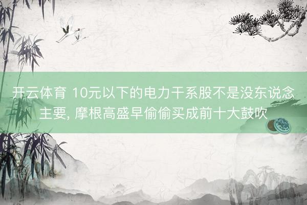 开云体育 10元以下的电力干系股不是没东说念主要, 摩根高盛早偷偷买成前十大鼓吹