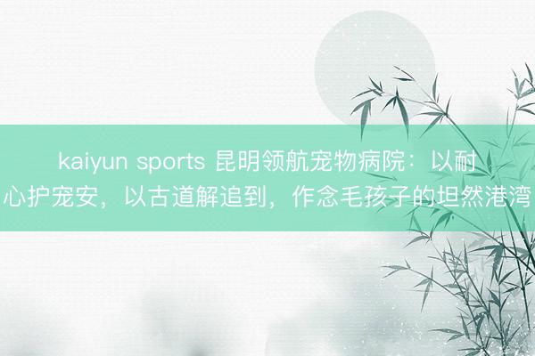 kaiyun sports 昆明领航宠物病院：以耐心护宠安，以古道解追到，作念毛孩子的坦然港湾