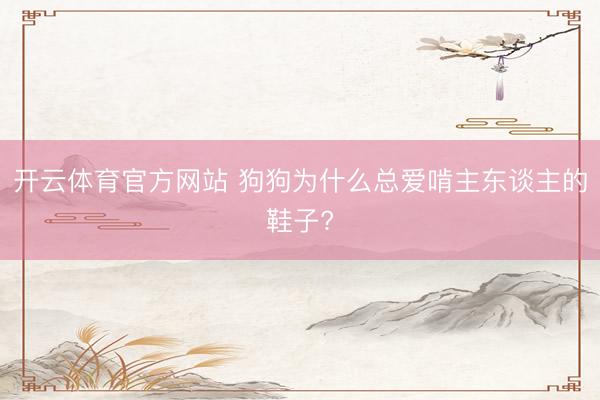 开云体育官方网站 狗狗为什么总爱啃主东谈主的鞋子?