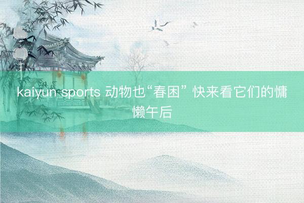 kaiyun sports 动物也“春困” 快来看它们的慵懒午后